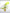 Sonny Angel Lime Dog Keychain